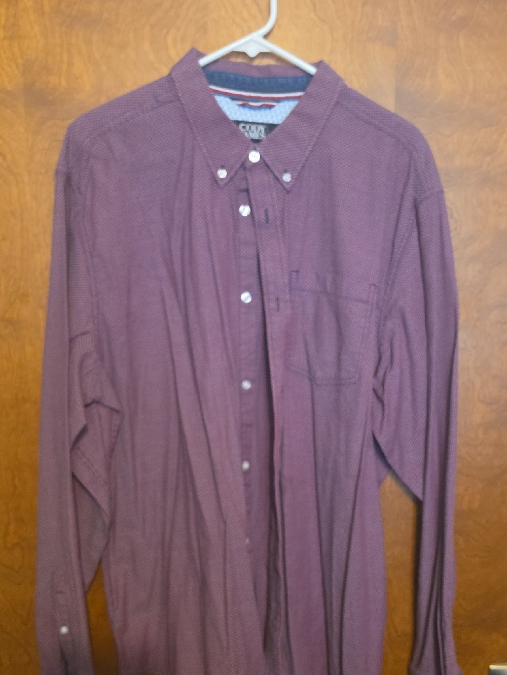 Men's Long-Sleeve Button-Down Shirt in Plum by (no brand)